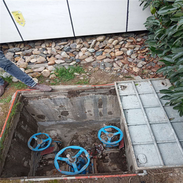 上海松江叶榭地下水管漏水检测-检测地下水管漏水/轩泉防水