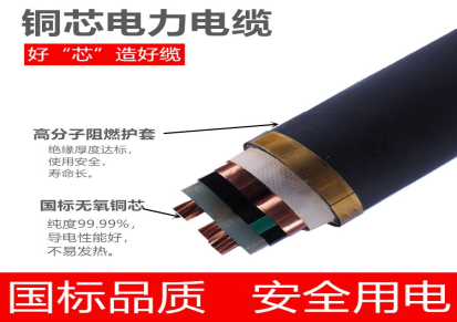 诺兴盛 铜芯高压电缆 YJV22 3X50 50平方15KV电缆 国标品质