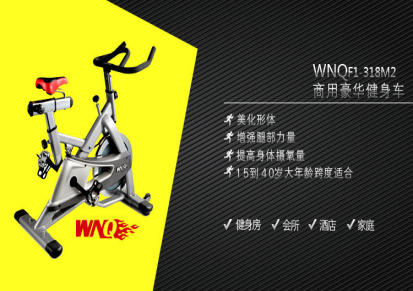 WNQ万年青318M2 家用 正品 立式 减肥 运动 健身车 动感单车