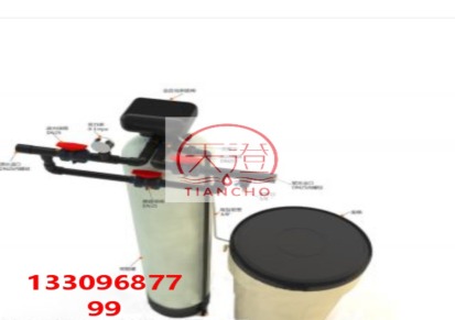 （天澄）阜阳树脂软化水设备|软水化装置 软化水设备RS-5L