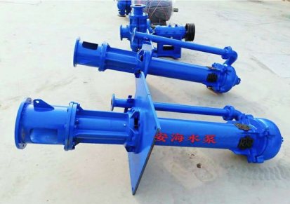 100YZ耐腐蚀液下泵现货 高扬程液下泵生产厂家 安海泵业