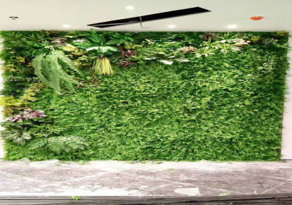 室外绿植隔断墙效果图 绿植隔断墙效果图 美尚园艺 