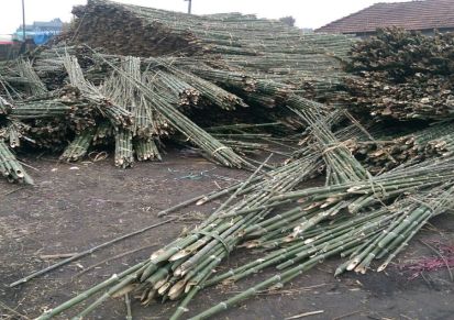 厂家直销优质毛竹 农用竹竿 大棚小竹 绿化用竹梢,规格齐全