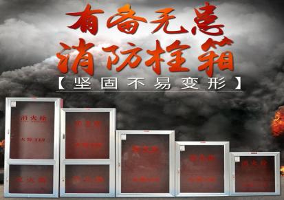 消防铁皮箱 室内铝合金消火栓箱 室外透明铁皮玻璃消防箱 上海消防器材