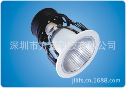 LED天花灯 安全节能 低碳环保大量低价
