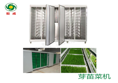 宏成豆制品机械厂家直销豆芽设备环保节能值得信赖