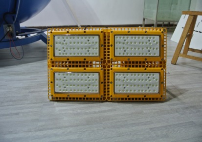 防爆LED照明灯 QC-FB028-A-IV