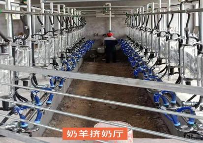 奶羊挤奶厅 洋源畜牧 节约时间提高产量可定制清洗方便