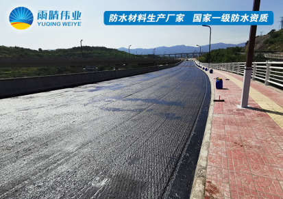 上海喷涂速凝液体橡胶涂料厂家直供