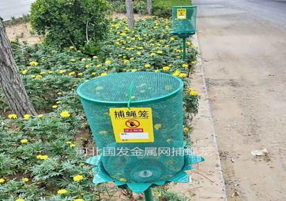 垃圾场专用捕蝇笼绿色垃圾场专用捕蝇厂家供应现货