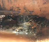 专业供水管网损漏检测、小区绿化管漏水检测
