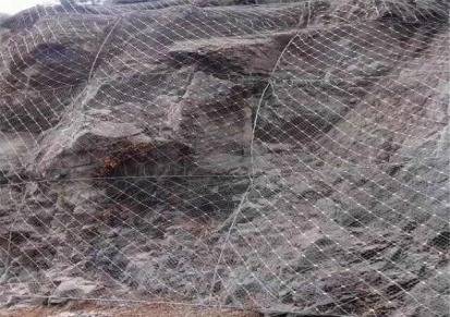 速跃生产厂家供应商  防落石钢丝绳网 sns柔性边坡防护网