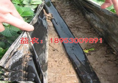 鹤壁温室草莓水肥一体化设备