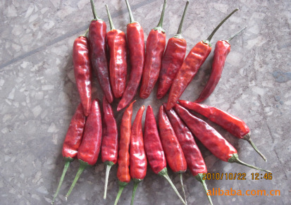 产地直批 供应优质红朝天红 提供优质火锅辣椒