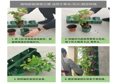 东莞全新植物墙容器定制 绿植墙