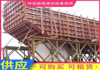 桥梁钢模板租赁 高铁桥梁墩柱钢模板 坤诺 支持定制