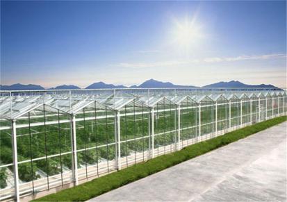 花卉种植蔬菜大棚 景观玻璃温室 鑫时代 智能农业生态种植