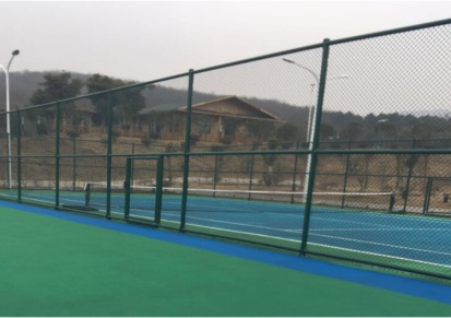 体育场护栏网PE PVC包塑勾花网厂家直销铁丝笼式球场运动场防护网