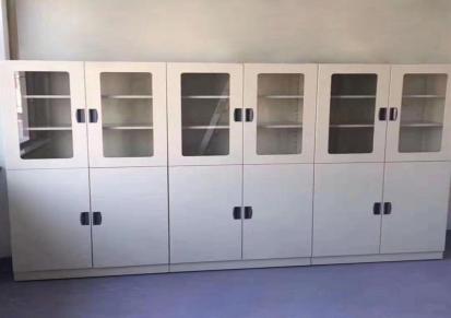 西安新信凯全钢试剂柜 仪器柜 储存柜 样品柜 实验室设备
