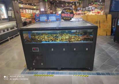 龙马水族 饭店制冷玻璃鱼缸虾蟹暂养缸 使用时间长小型商用玻璃鱼池制冷循环一体机
