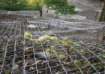 斯登诺高锌主动边坡防护网柔性环形网 山区景区山体落石拦截网