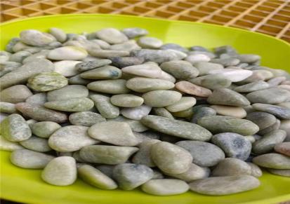兰国水磨石绿石子 水磨地面专用彩石子 价格优惠