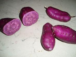 原料紫薯