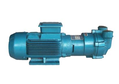 真空泵 SK-0.8水环真空泵 水环式真空泵生产厂家 小桥泵业