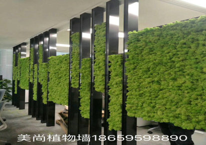 室外植物墙安装公司 美尚园艺 曲靖植物墙