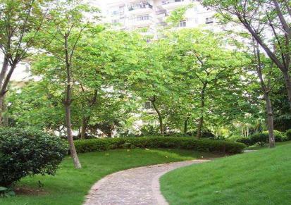 武汉绿化养护报价 园林植物景观设计 园林工程报价表 润泽蔚来 b000371