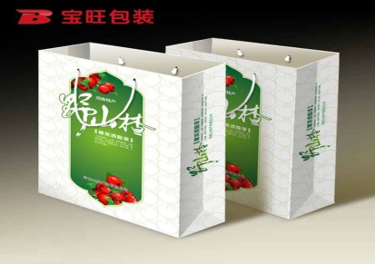 纸质礼品袋定做 印刷包装 南京厂家纸礼品纸袋