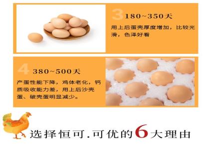 提高产蛋率的方法_增加蛋重_恒可可优