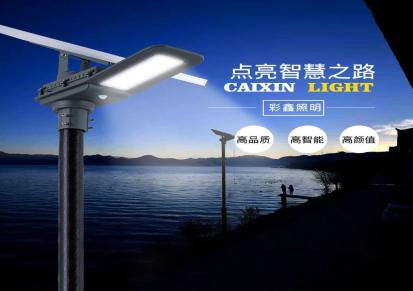 尊亚照明6米100W太阳能路灯厂家批发新农村太阳能LED路灯