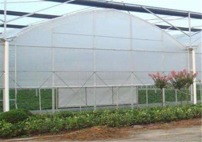 厂家直销温室大棚搭建 连栋薄膜温室大棚 蔬菜大棚 农业专用大棚