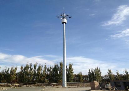 冠辰通信单管气象测风塔 景观美化单管塔支持来图定制