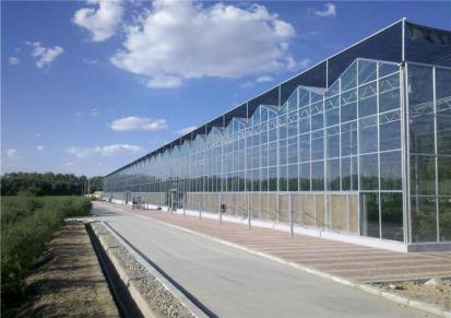 五丰智能温室WF-19智能温室，连栋温室厂家建造玻璃大棚，玻璃温室，五丰温室