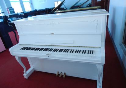 白色诺亚钢琴