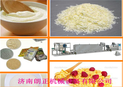 济南朗正速溶米粉加工设备谷物营养粉生产线