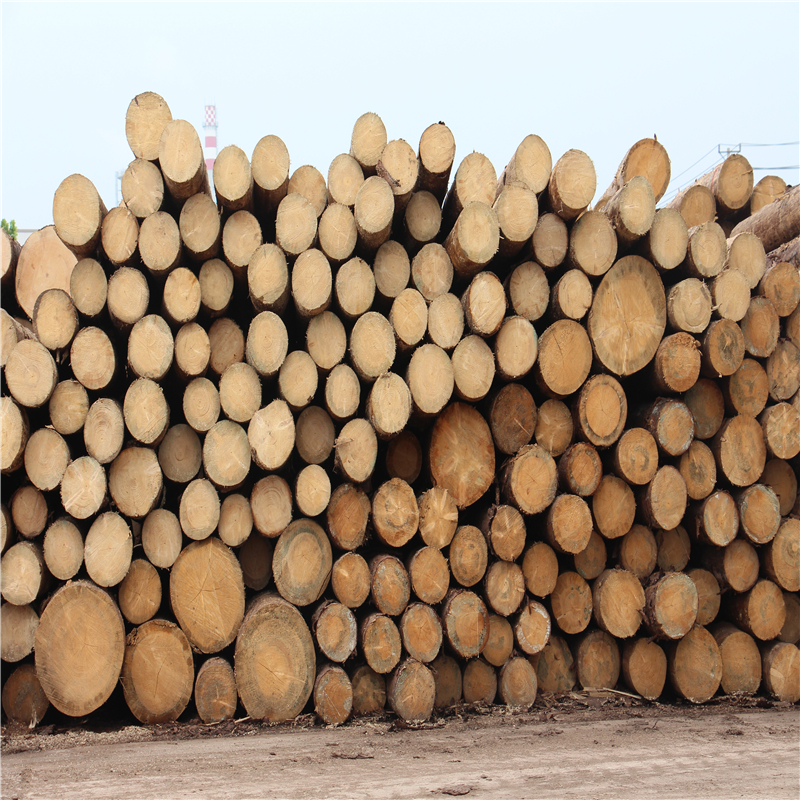 现货 松木建筑木方 可烘干板材 辉通木材