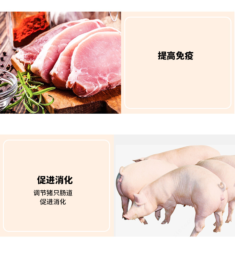 4%中猪专用预混料_03.jpg