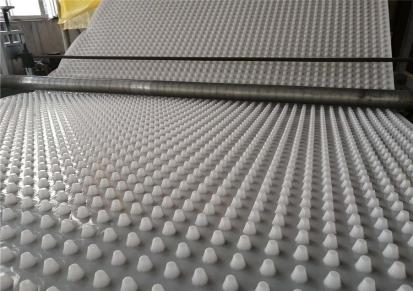 专用排水板 防护排水板 泽瑞 欢迎来电 HDPE排水板