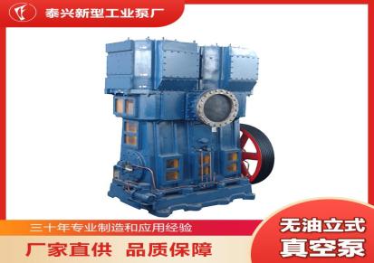 220V耐腐蚀双缸真空泵泰兴新型工业泵厂定制供应