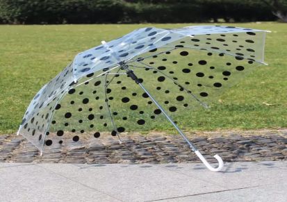 创意韩国 透明点子伞 长柄PVC塑料伞 舞蹈伞 画图伞 广告伞