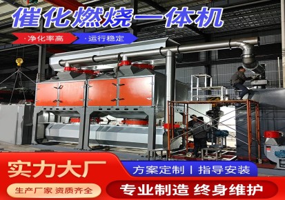 工厂生产催化燃烧装置一体机 工业废气处理成套催化燃烧设备现货