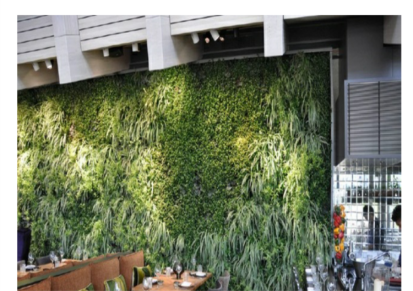 景观墙围挡 垂直立体绿化 生态植物墙高架桥花卉景观设计 圣恩园艺