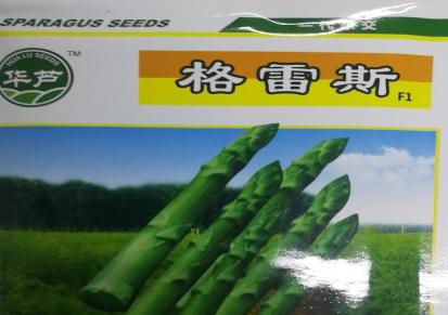 益农高科 芦笋种子品种多 类型全 提供种源和芦笋苗