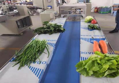 全自动蔬菜包装机 宏硕厂家供应 可打码打孔 HS-600