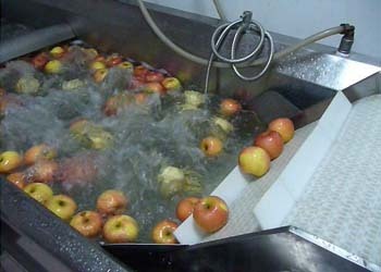 苹果果蔬清洗机