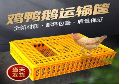 建伟塑业 成鸡运输笼 禽用周转筐 塑料鸡转运笼 塑料鸡笼子