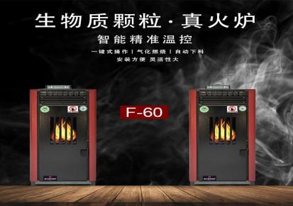 世纪圣火SJSH-F160风暖型生物质颗粒采暖炉家用无烟取暖空气循环健康舒适
